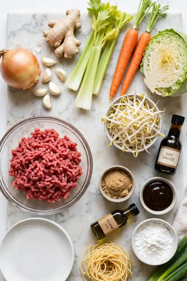 Ingredients for slow cooker ground beef chow mein including ground beef, cabbage, carrots, celery, soy sauce and egg noodles